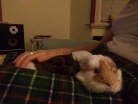 2018-11-03 Jess and Charlotte (c) Jason Grossman.jpg